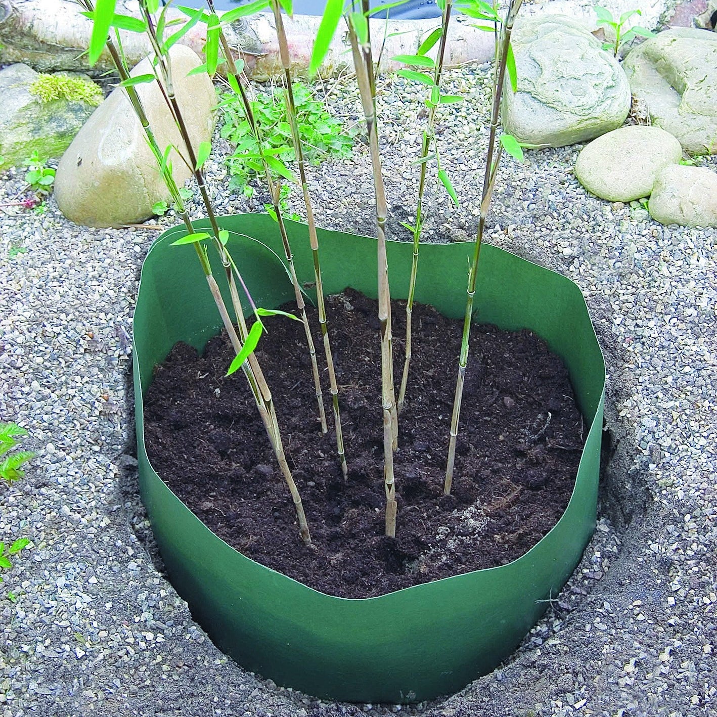 Vorschaubild 1