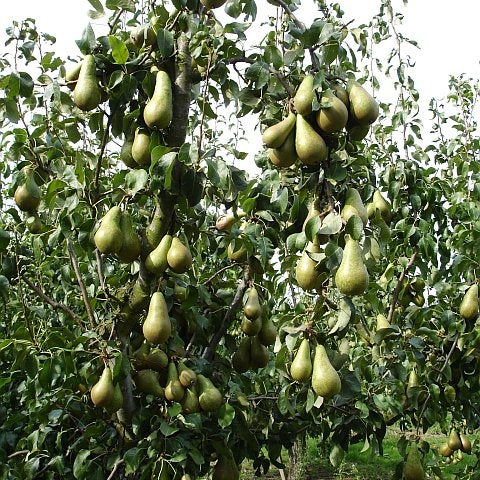 Produktbild 5