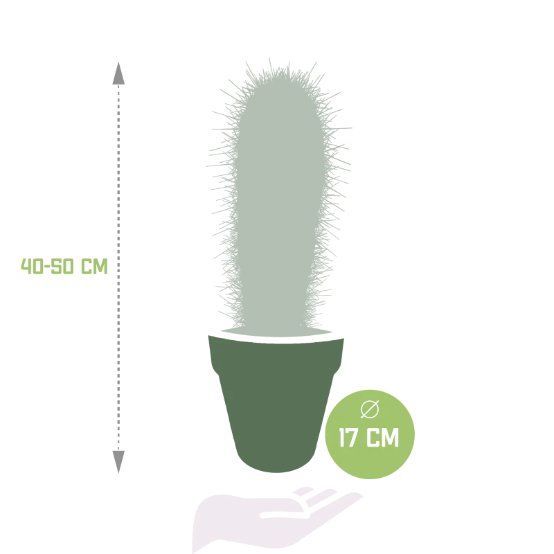Produktbild 2