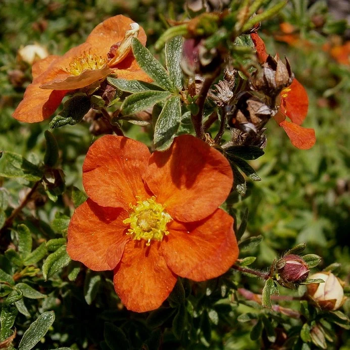 Produktbild 2