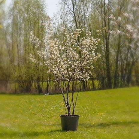 Vorschaubild 1