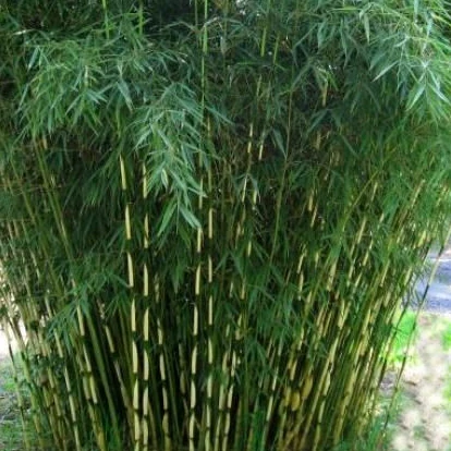 Produktbild 4