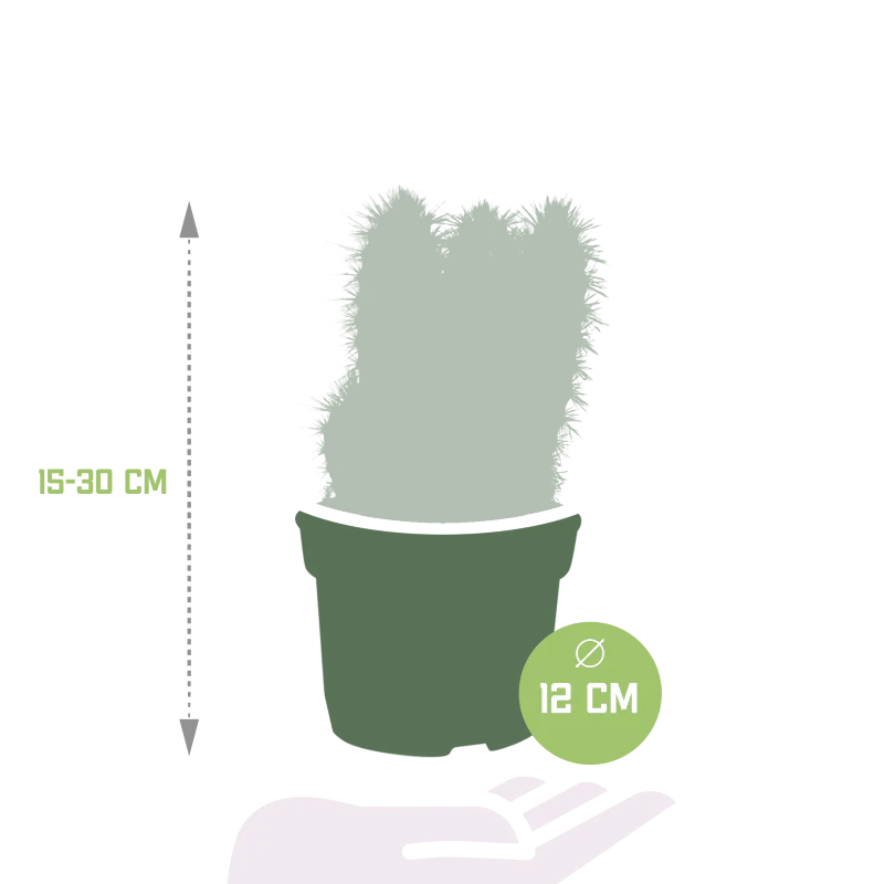 Produktbild 2