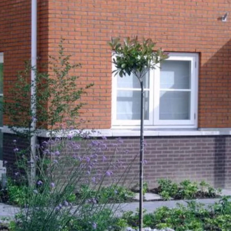 Produktbild 3