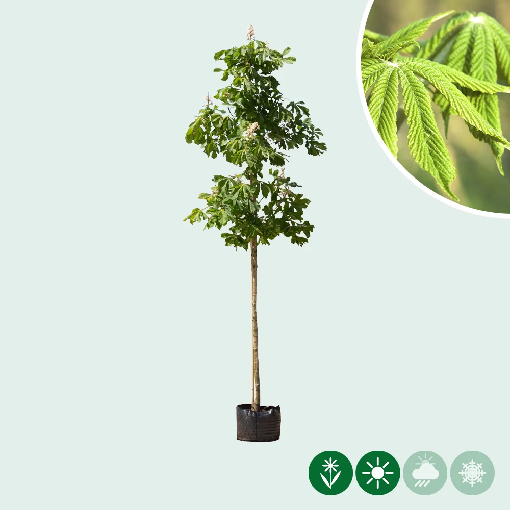 Produktbild 2