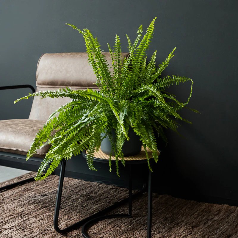 Produktbild 3