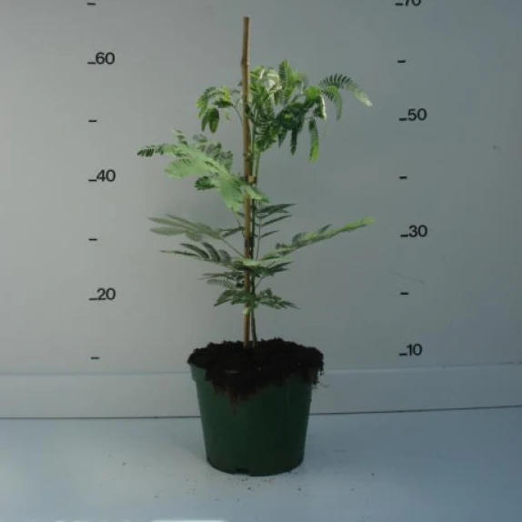 Produktbild 3