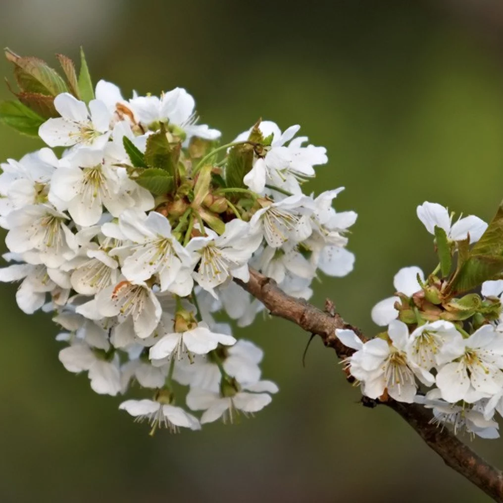 Produktbild 3