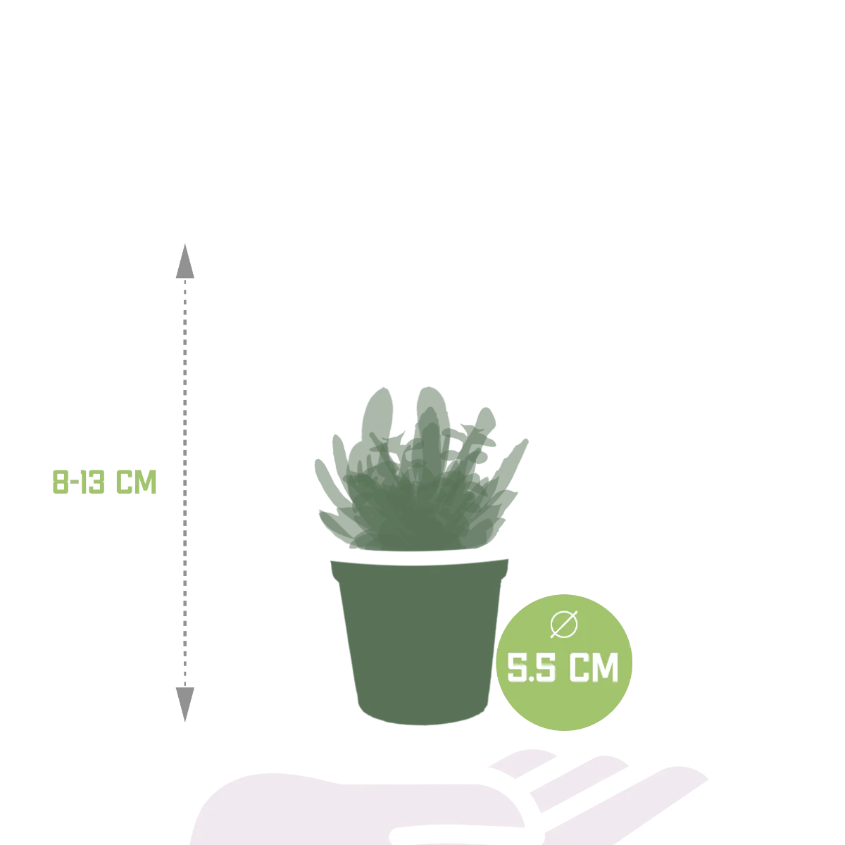 Produktbild 2